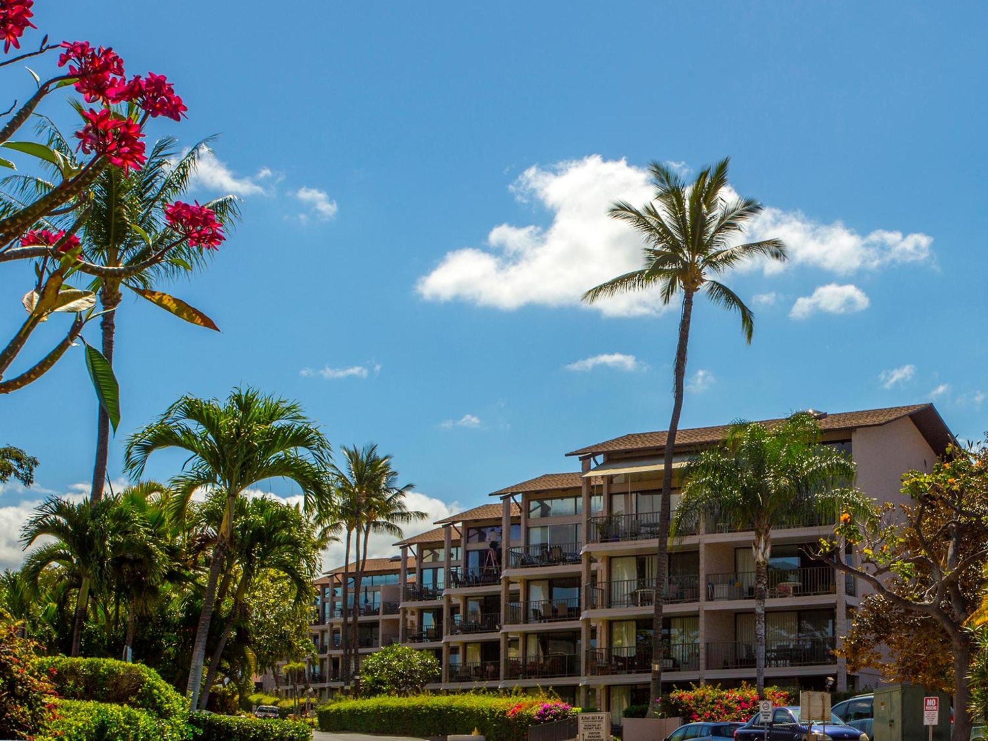Ocean View Unit At Kihei Alii Kai Close To Beach Eksteriør billede